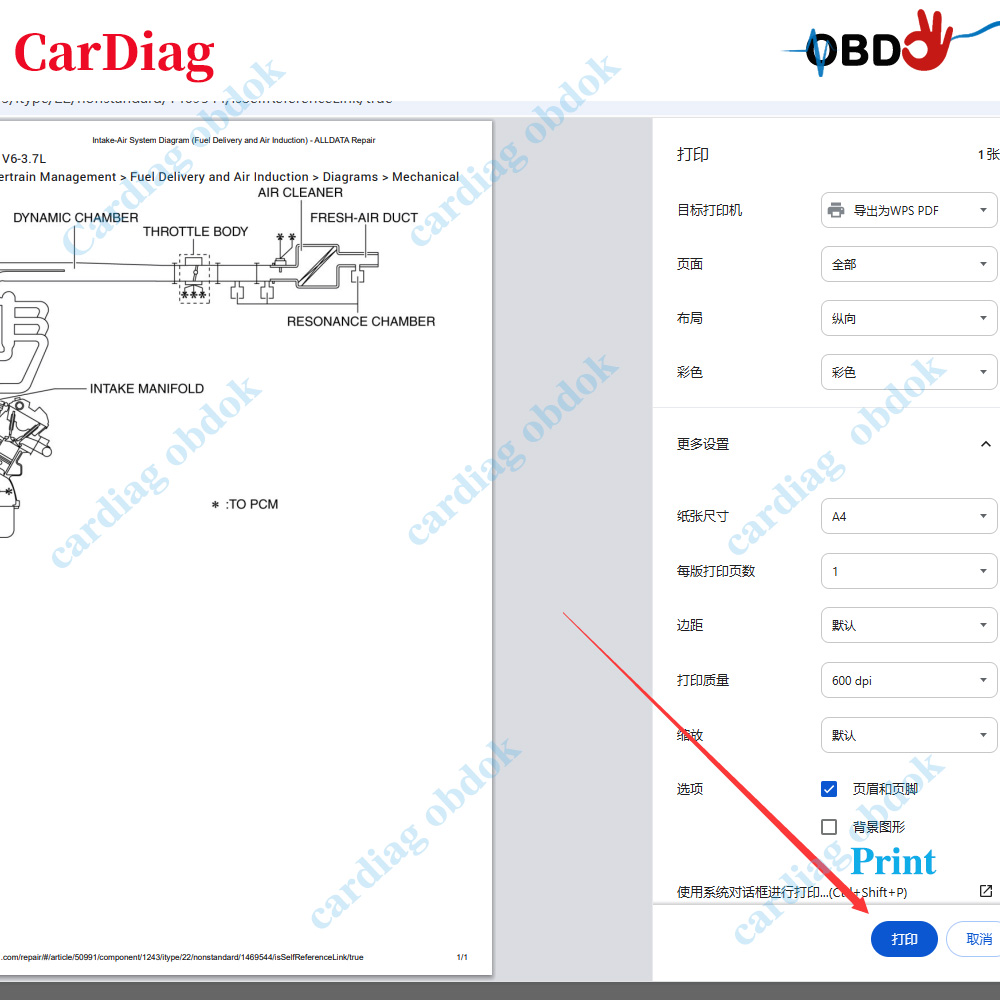 برنامج Alldata US عبر الإنترنت - مراجعة Workshop Tools Online وسعره